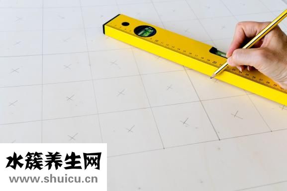 雙頂徑是什么意思