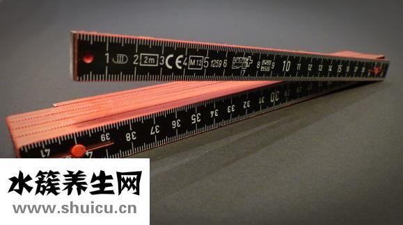 苦參的功效與作用