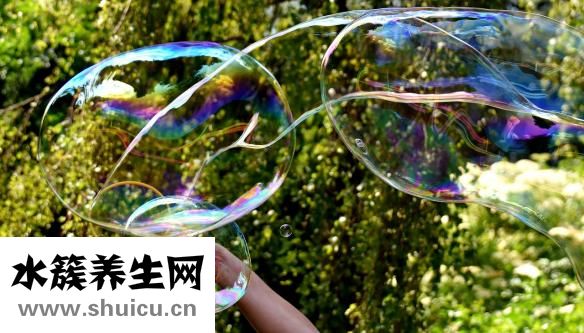 苦參的功效與作用