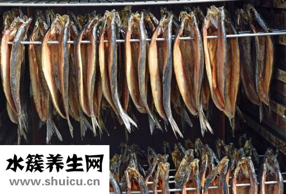 裙帶菜和海帶的區(qū)別