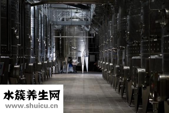 孕婦能吃柿子嗎