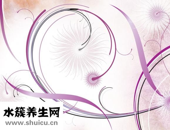 香附的功效與作用