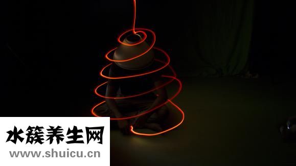 雪蛤的功效與作用