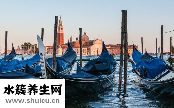 生姜的功效與作用