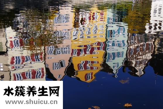 薏苡仁的功效與作用