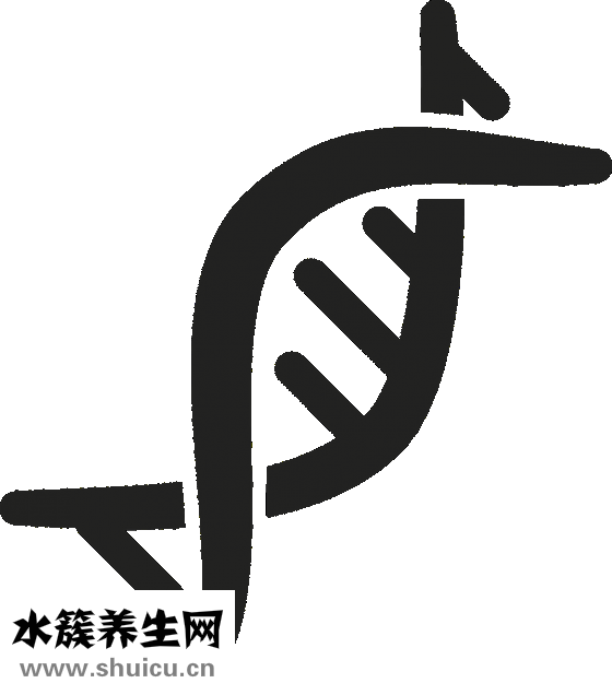 淮山的功效與作用