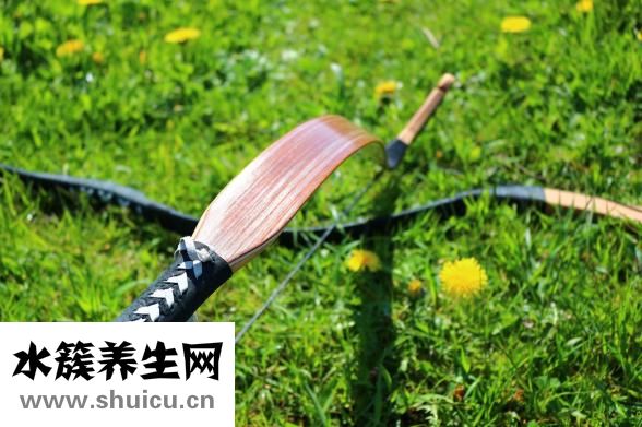 百部的功效與作用