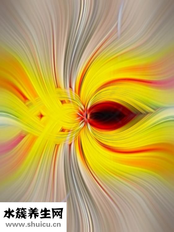 巖茶屬于什么茶