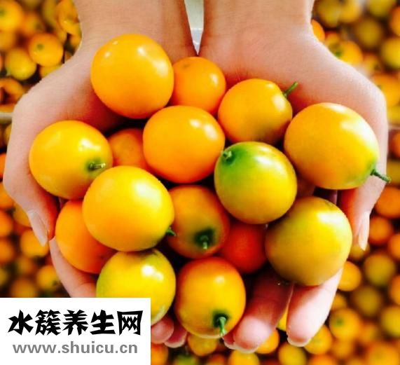 咸金桔的腌制方法