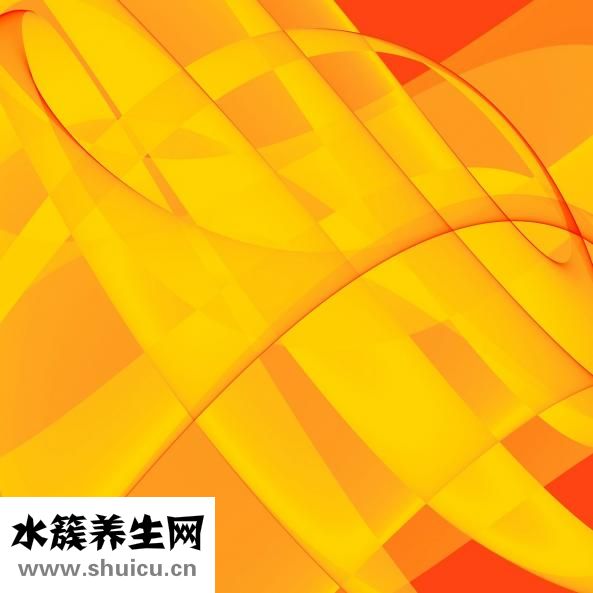 巖茶屬于什么茶