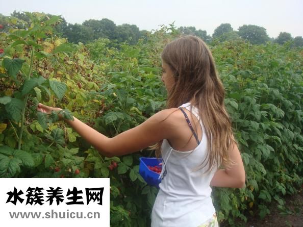 十大減肥水果排行榜