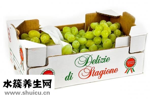 十大減肥水果排行榜