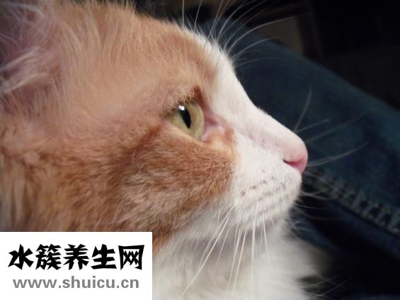 傷口不易愈合的原因