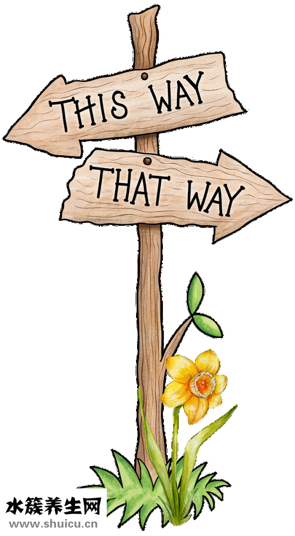 體外沖擊波碎石