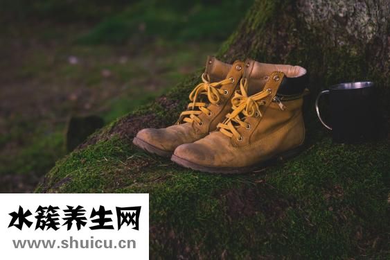 心臟血液循環路線