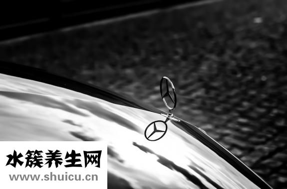 心臟血液循環路線