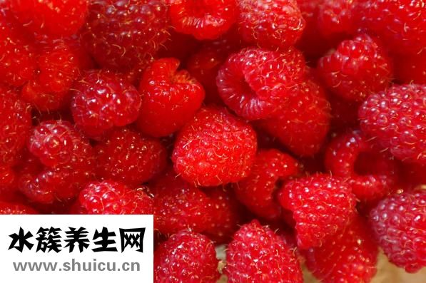 什么食物助消化