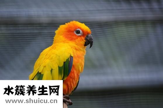 寫毛筆字的好處