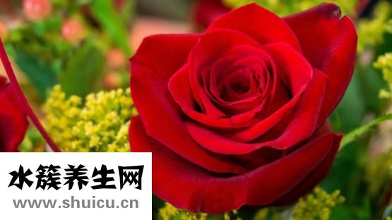 嗜睡癥的表現(xiàn)