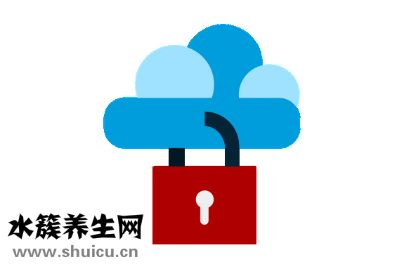 什么蔬菜吸脂減肥