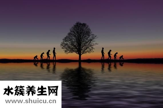 山藥是不是發物