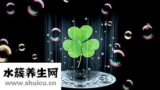 免疫力下降的原因