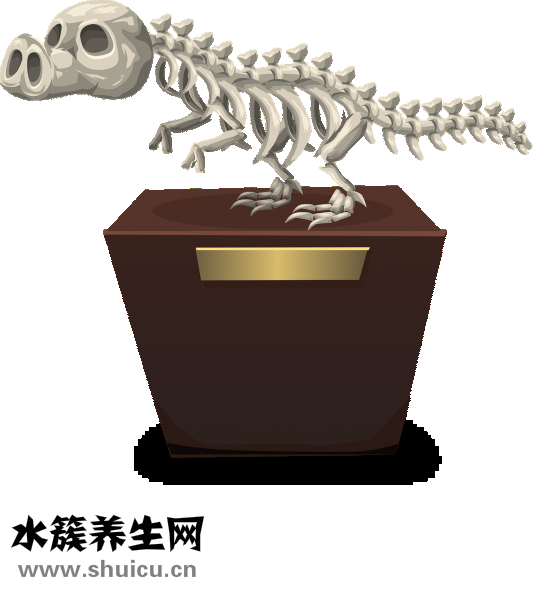 新生兒鎖骨骨折