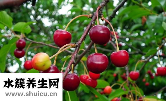 怎樣讓瘦人變胖