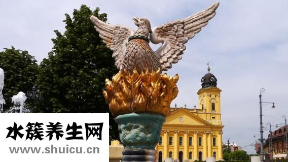 孕婦可以吃魚嗎