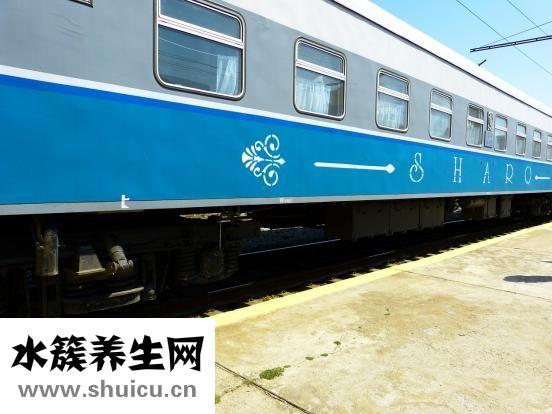 暈車想吐怎么辦