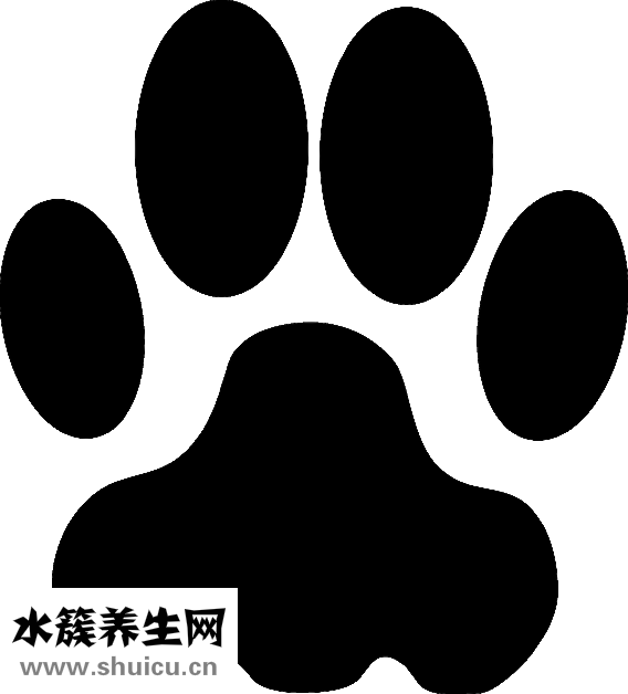 晚上護膚的正確步驟