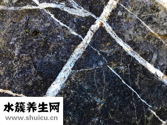 傷寒感冒用什么藥