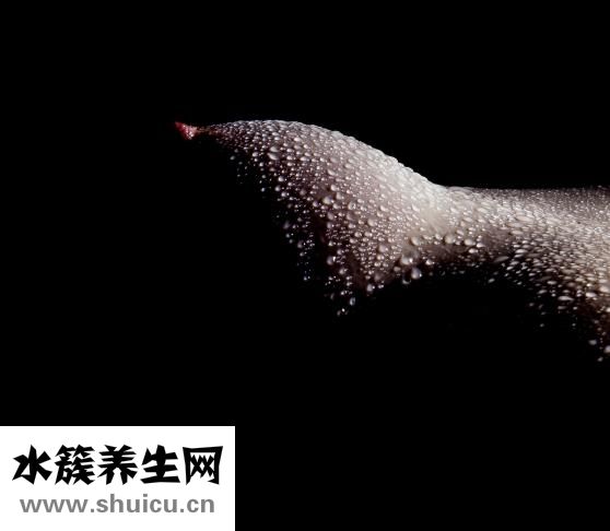 什么是膠原蛋白