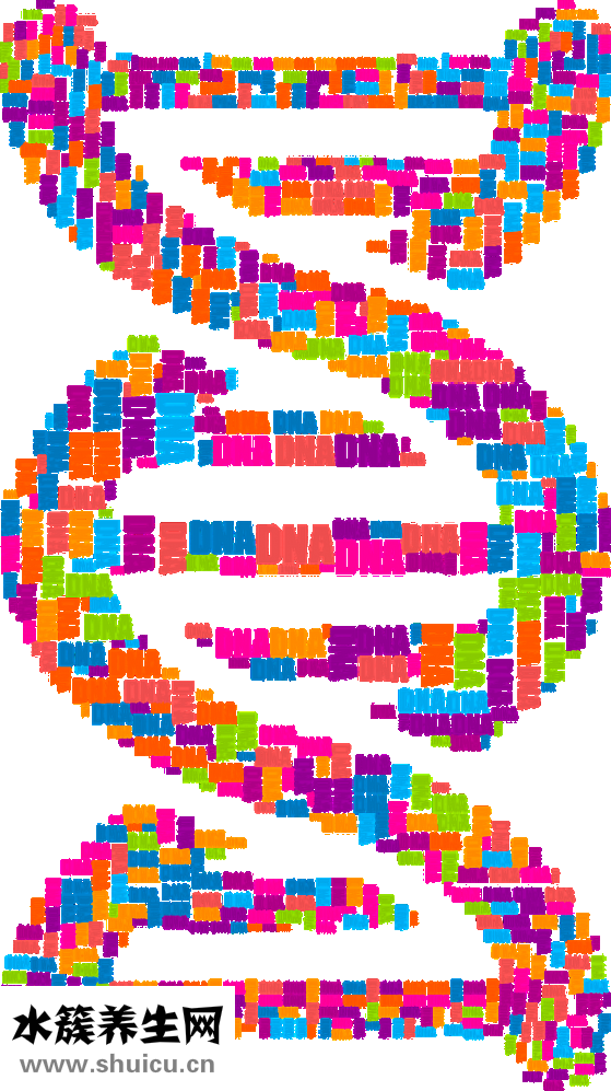 什么是基因突變
