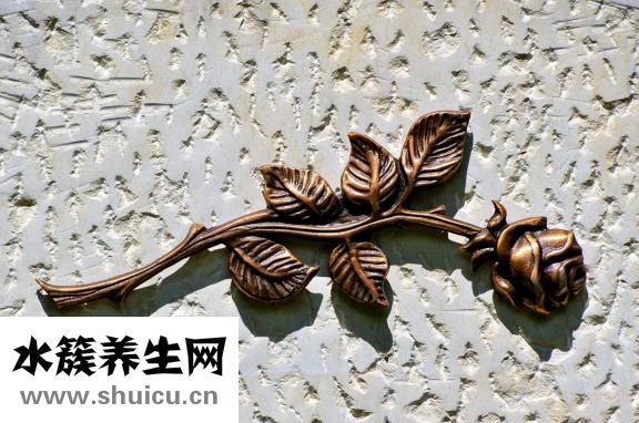 千頁豆腐家常做法