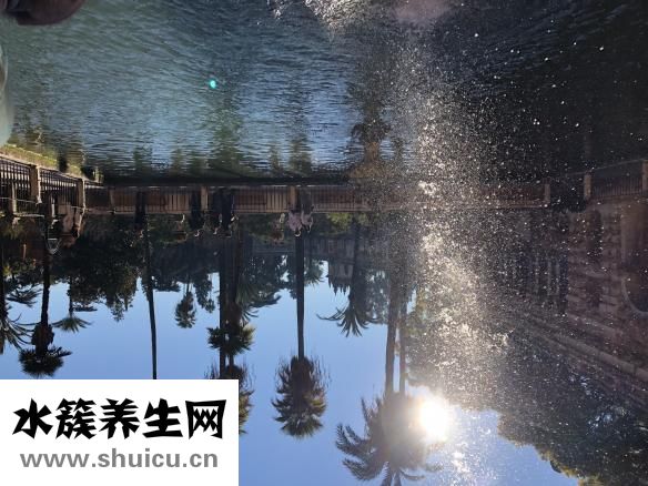 為什么會起水泡