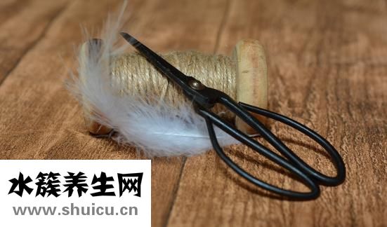 懷孕肚子上長毛