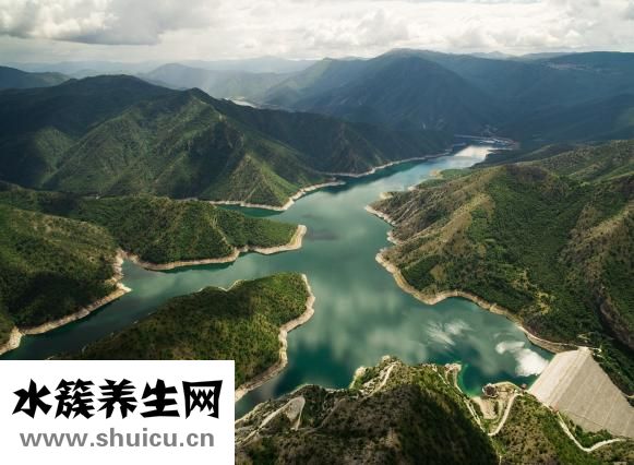 發(fā)芽的板栗還能吃嗎