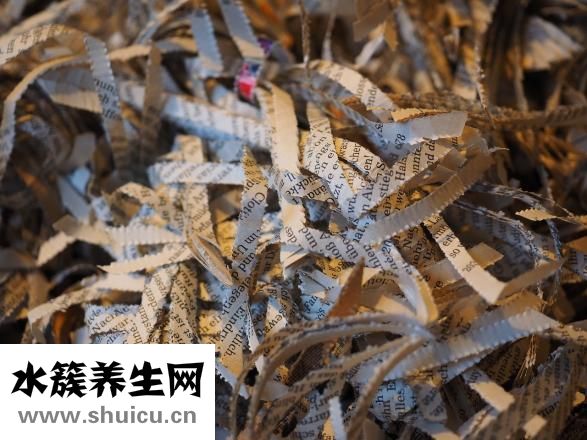 天麻的藥用價值