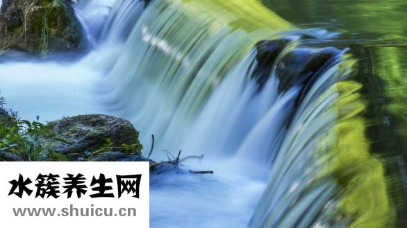 手診圖解看疾病