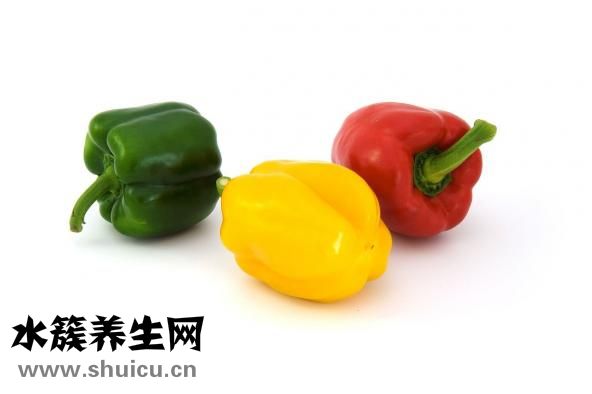 土鱉蟲的作用與功效