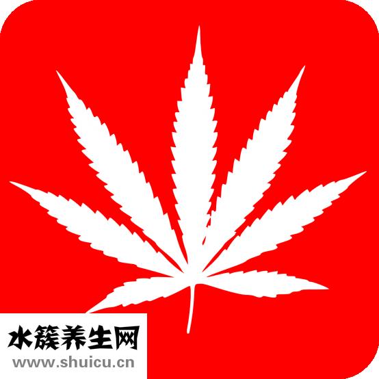 怎么治腎虛