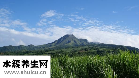 什么是特應性皮炎