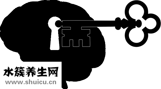 早孕三項檢查什么