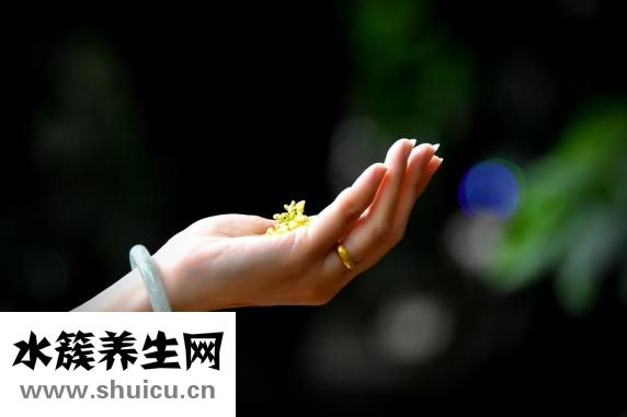 傷疤如何快速愈合