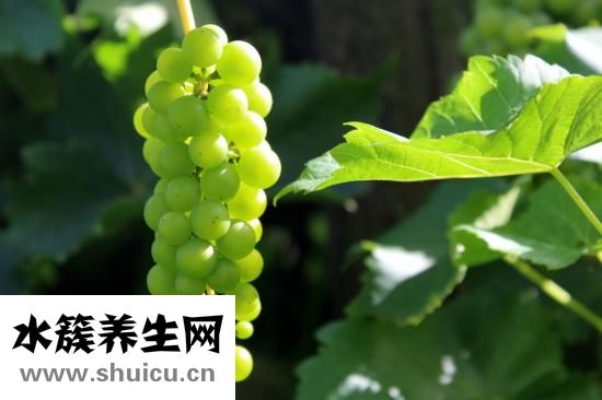 小滿是什么季節(jié)