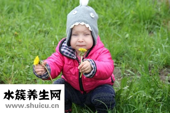 小孩能吃海參嗎