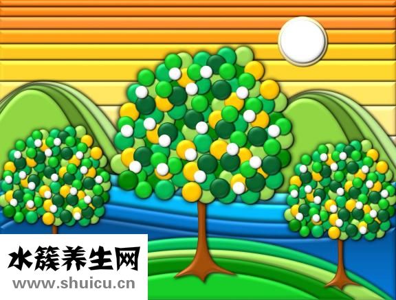 孕婦吃蓮子墮胎