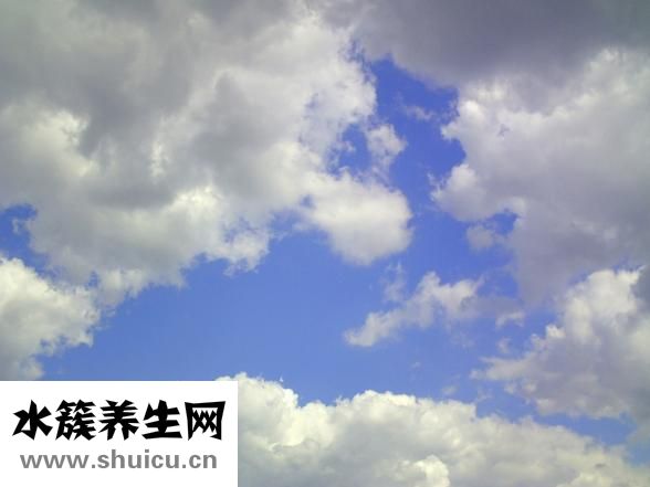 心慌氣短是什么原因