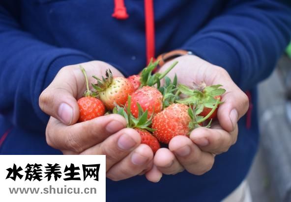 孕婦可以吃冰的嗎